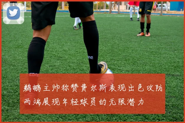 鹈鹕主帅称赞费尔斯表现出色攻防两端展现年轻球员的无限潜力