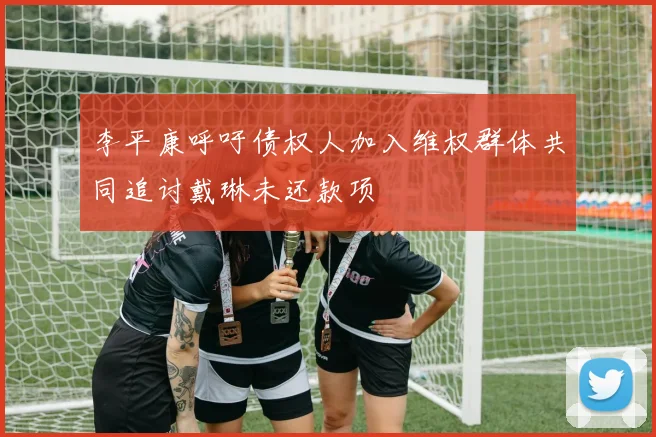 李平康呼吁债权人加入维权群体共同追讨戴琳未还款项