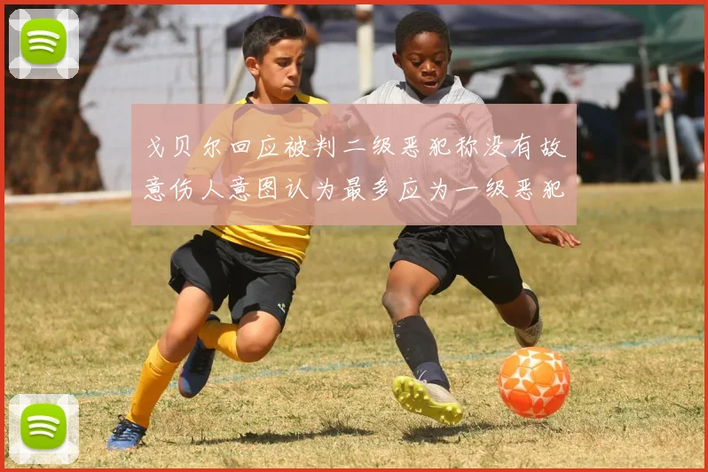 戈贝尔回应被判二级恶犯称没有故意伤人意图认为最多应为一级恶犯